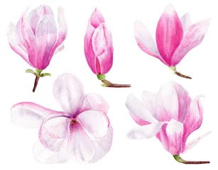 Fototapete Magnolie Floral handgezeichnete Aquarell-Raster-Illustrationen-Set