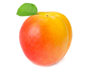 Fototapeta na wymiar apricot fruits with green leaf isolated on white background