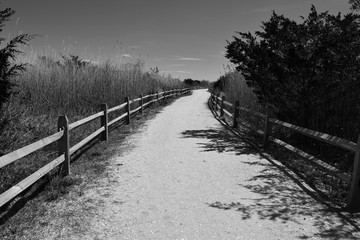 Avalon Beach Path
