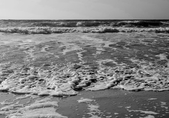 BNW Ocean City Waves