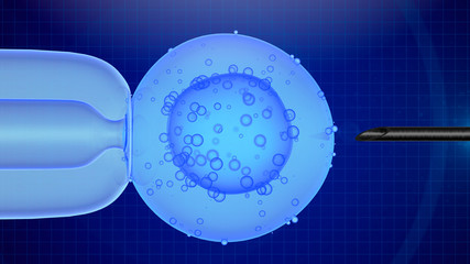 Cell injection medical procedure with microscope. injecting biological material.