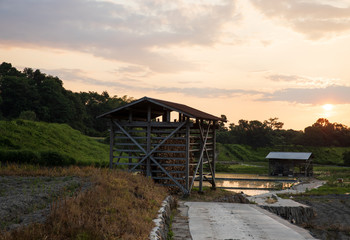 Obraz premium Open air onion drying racks next to narrow road and flooded rice fields at sunset