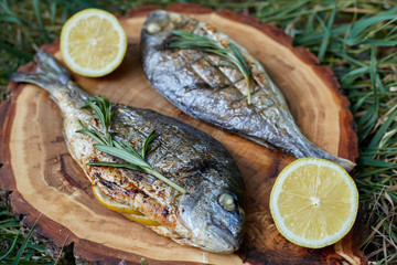 Baked fish dorado with vegetables on cutting board