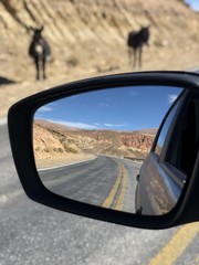 mirror road