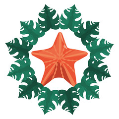 starfish marine frame tropical leaves summer