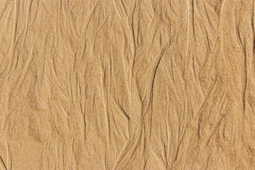 close up on wet beach sand texture