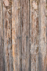 Wood old texture of tree nature background