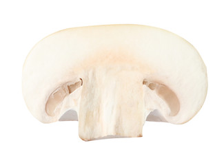 Piece of fresh mushroom on white background