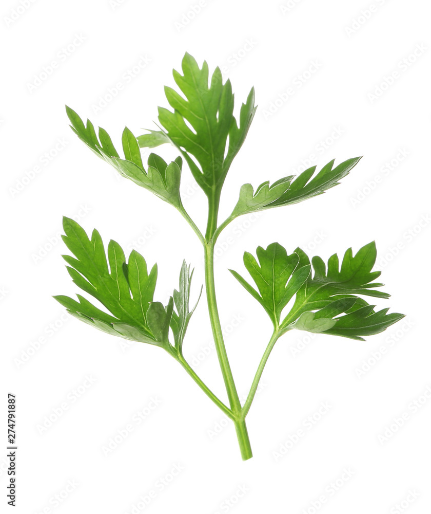 Wall mural leaves of fresh tasty parsley on white background