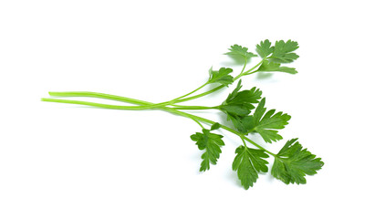 Leaves of fresh tasty parsley on white background