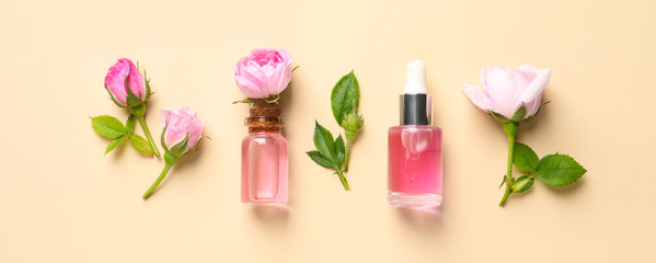 Fresh flowers and bottles of rose essential oil on color background, flat lay