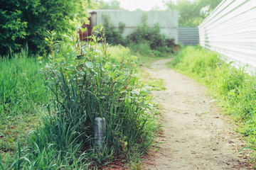 Plastic bottle in grass. Garbage among plants. Toxic plastic into nature everywhere. Rubbish in...