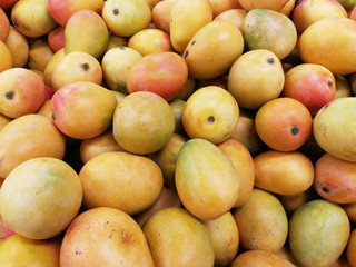 Group of fresh and sweet mangoes.