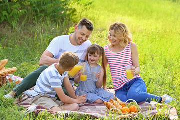 Naklejka na ściany i meble Happy family on summer picnic in park