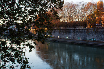 River with leaves of tree forward