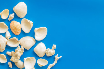 Shells for beach pattern on blue background top view space for text