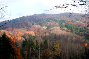 autumn in the mountains