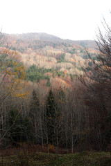 sunrise in the mountains