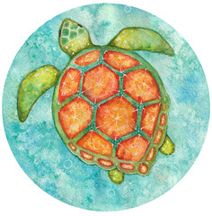 Watercolor round illustration of see turtle from above