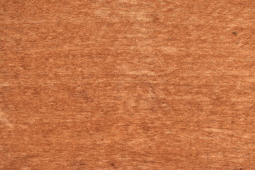 Texture tree wood background nature