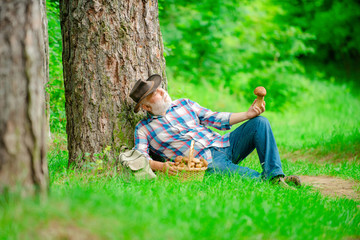 Happy Grandfather with mushrooms in busket hunting mushroom. Old bearded mushroomer in summer forest.
