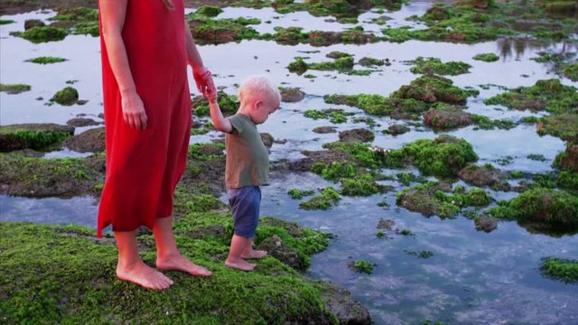 Caucasian son is holding mother's hand while exploring puddles and on green algae on the shore at low tide. Slow motion. Balangan beach, Bali, Indonesia