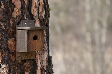 simple bird house hand made on the side of a tree