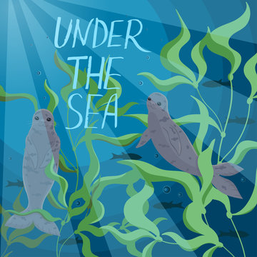 Banner with seals swimming in the sea. Inscription Under the sea .Vector graphics.