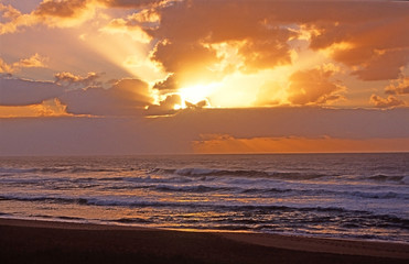 Fototapeta na wymiar First rays of the sunrise shining through the clouds over North Avoca beach. Australia.