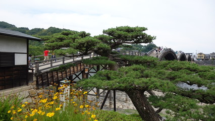 Fototapeta premium 日本三名橋「錦帯橋」の絶景！