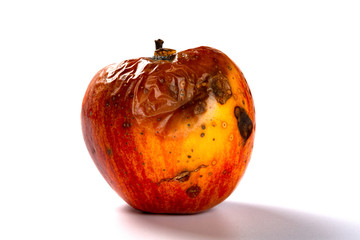 side view rotten apple on a white background