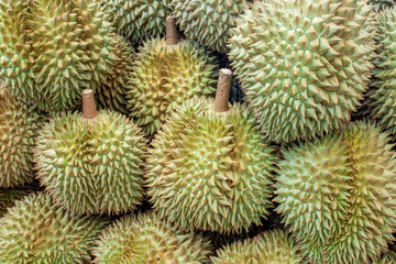 Naklejka na ściany i meble Durian piled texture. Fruit market concept.