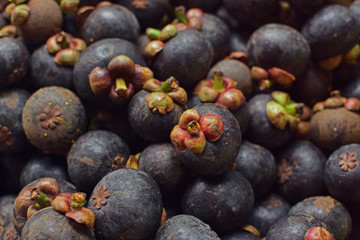 Heap Mangosteen Southeast Asian fruit in Thailand