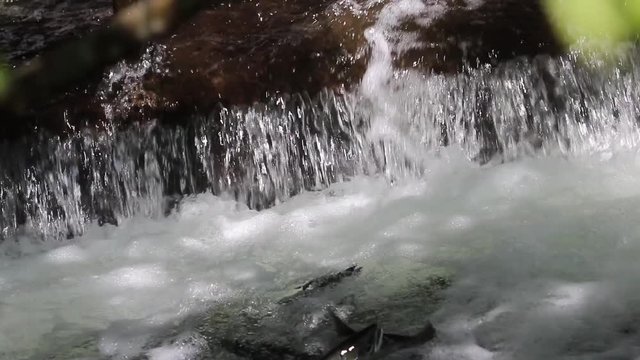 Close up of Sockeye (Red) Salmon working up the courage to jump up the waterfall or fish ladder of the weir in order to spawn upstream near Seward Alaska