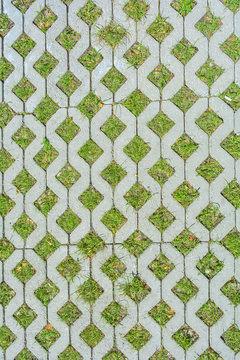 Geometric background of eco floor bricks and green grass. Eco parking texture