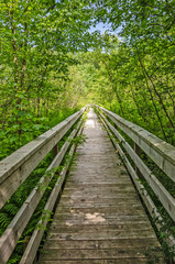 Boardwalk Bridge Over Wet Area at Loda Lake