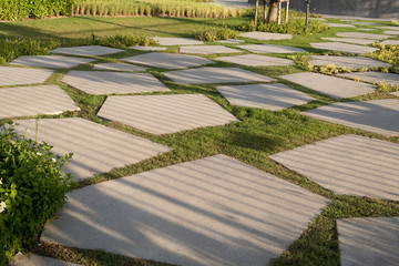 Texture or pattern of paving walkway.