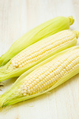 White Corn on the white background