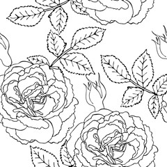 Floral vector seamless pattern with black line flower