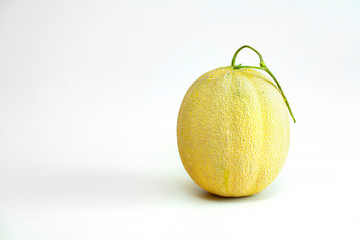 Japanese melon on the white background