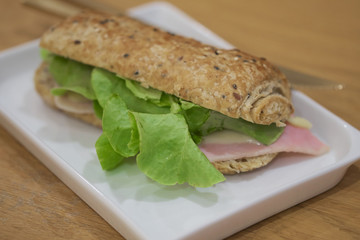 Delicious ham and cheese sandwich on white plate