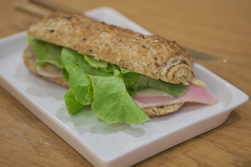 Delicious ham and cheese sandwich on white plate