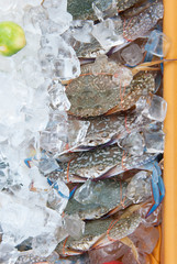 Buffet seafood set up, Crab raw food. -Image.
