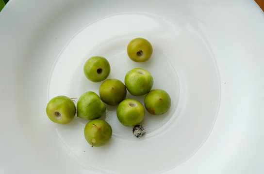 Ripe Hogberries In White Plate