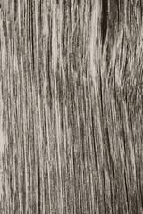 Old wood texture