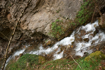 waterfall in the forest