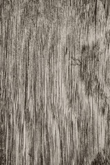 Wood floor texture use for background