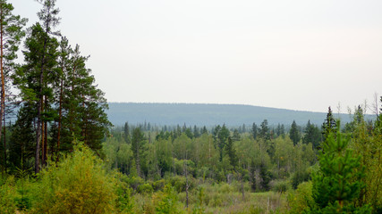 Fototapeta na wymiar Panorama of the Yakut taiga forest with spruce and pine trees to the horizon from the mountain.