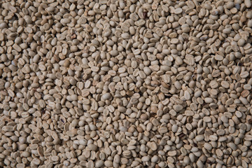 Raw coffee beans, Dried coffee beans background