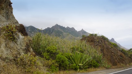 Fototapeta na wymiar exotic landscape in anaga mountains